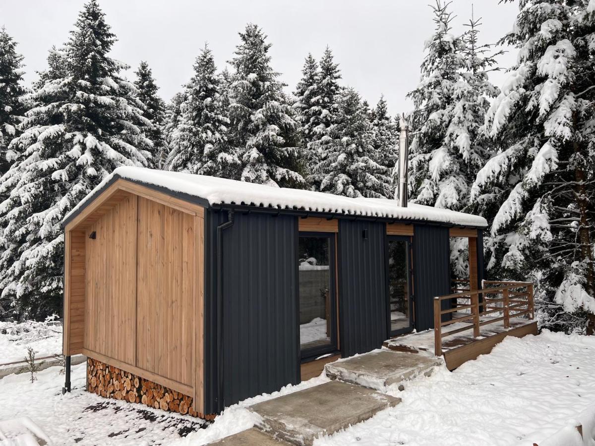 Парк-Готель Щастя Skhidnytsia Zewnętrze zdjęcie